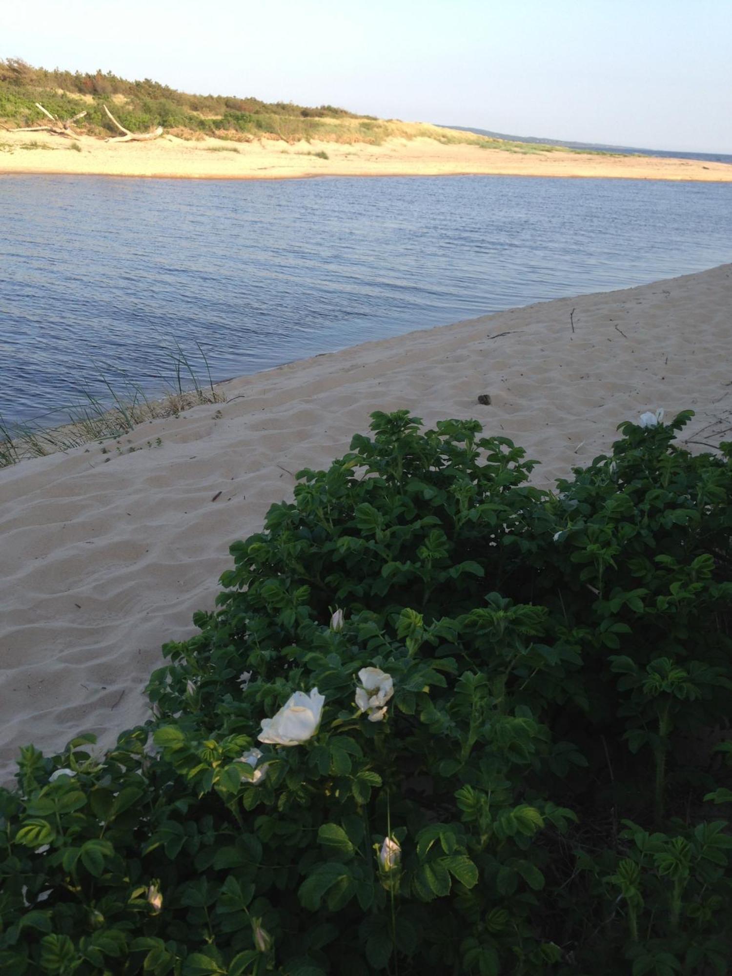Bed and Breakfast Brogard Falkenberg Exterior foto